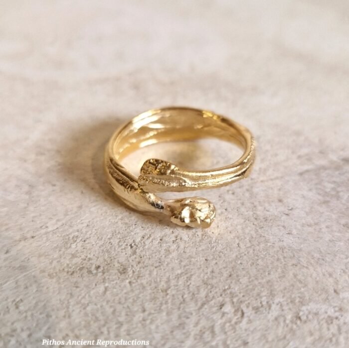 Anello ombra della sera